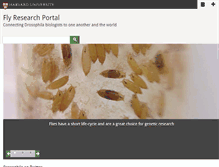 Tablet Screenshot of drosophilaresearch.org